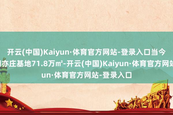 开云(中国)Kaiyun·体育官方网站-登录入口当今通盘这个词亦庄基地71.8万㎡-开云(中国)Kaiyun·体育官方网站-登录入口
