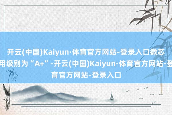开云(中国)Kaiyun·体育官方网站-登录入口微芯转债信用级别为“A+”-开云(中国)Kaiyun·体育官方网站-登录入口