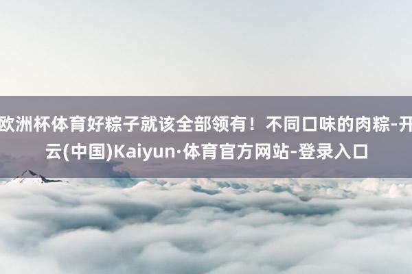 欧洲杯体育好粽子就该全部领有！不同口味的肉粽-开云(中国)Kaiyun·体育官方网站-登录入口