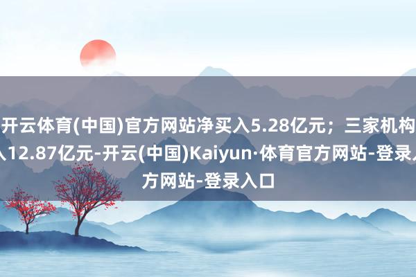 开云体育(中国)官方网站净买入5.28亿元；三家机构买入12.87亿元-开云(中国)Kaiyun·体育官方网站-登录入口